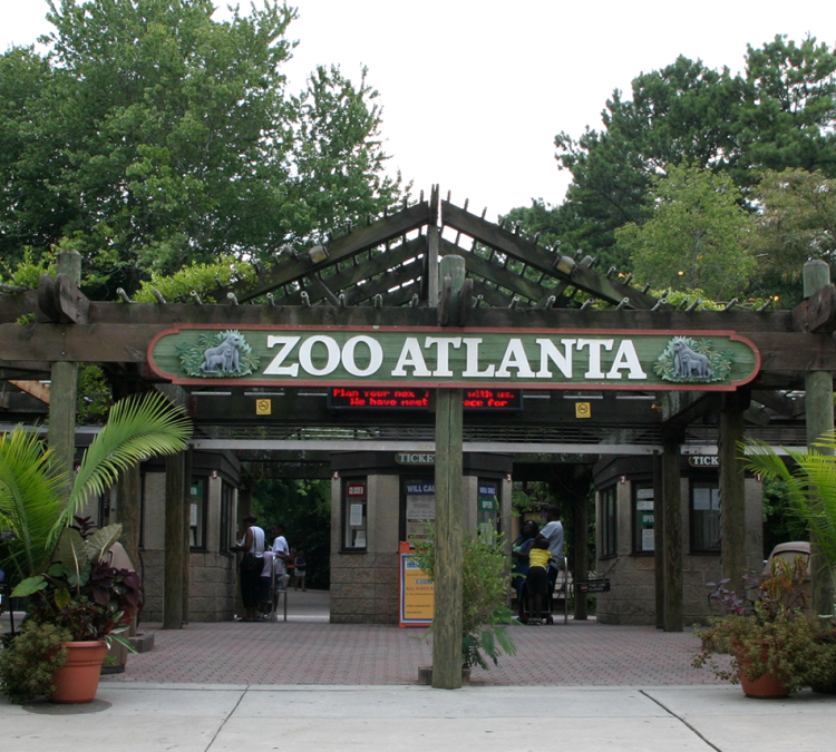 zoo-atlanta-photo